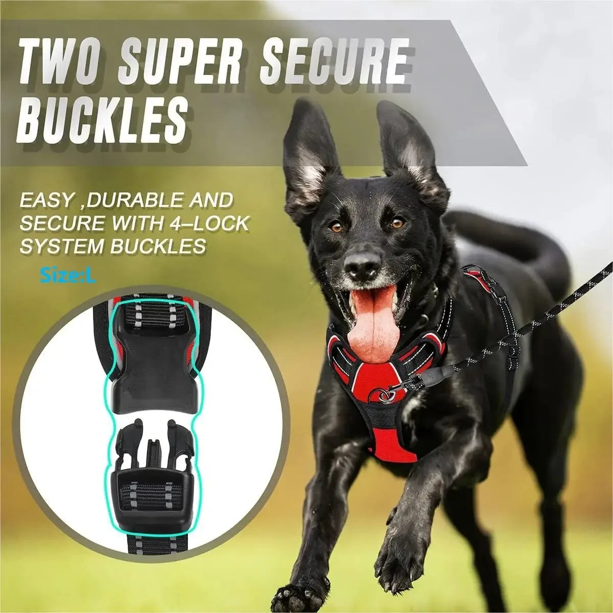 Leather Dog Collar & Harness Set with Leash – Adjustable Vest for Small & Medium Dogs